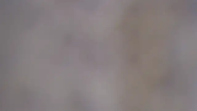 paiper halliwey online show from February 2025 12:50:01 PM