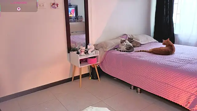 Snapshot of serenna_se chatting on March 2026 08:31:01 PM serenna se online show from March 2026 08:31:01 PM