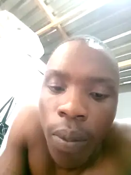 199Gif online show from March 2026 10:37:01 AM