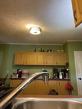 Snapshot of velvetta_ chatting on December 2024 07:22:01 PM velvetta  online show from December 2024 07:22:01 PM