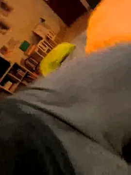 onbifeet online show from October 2025 06:17:02 PM