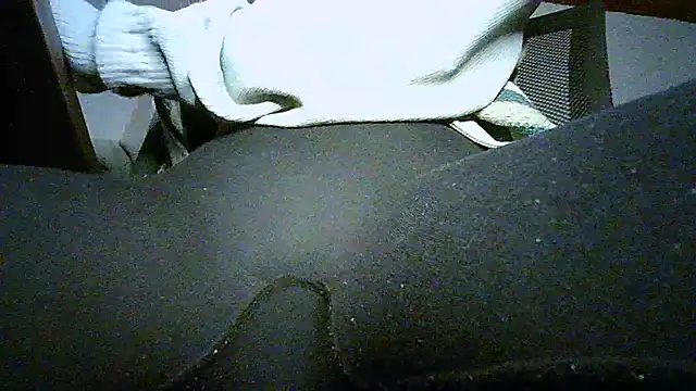 Bellabeltrann online show from March 2025 10:46:01 AM