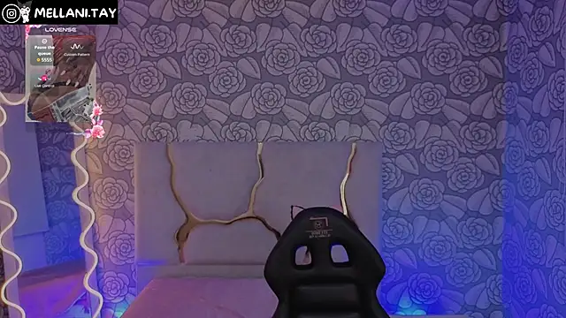 Snapshot of Mellani_tay chatting on September 2025 03:19:02 AM Mellani tay online show from September 2025 03:19:02 AM