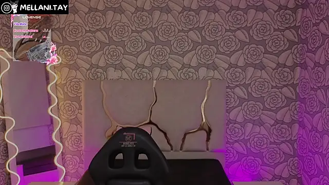 Snapshot of Mellani_tay chatting on September 2025 03:22:01 AM Mellani tay online show from September 2025 03:22:01 AM