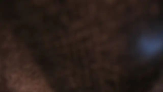 Snapshot of AliceHanz chatting on January 2026 04:26:01 AM AliceHanz online show from January 2026 04:26:01 AM