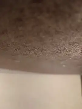 Alex flair online show from March 2026 02:20:02 PM