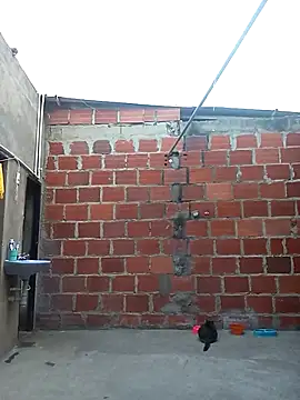 Snapshot of ariana_d20 chatting on March 2025 10:53:01 PM ariana d20 online show from March 2025 10:53:01 PM