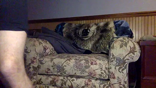 tongueispowerr6d9 online show from March 2026 02:18:02 AM