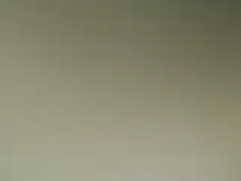 Lovensetest online show from March 2025 08:48:01 AM