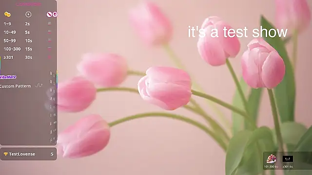 Snapshot of Lovensetest chatting on March 2026 08:29:02 AM Lovensetest online show from March 2026 08:29:02 AM