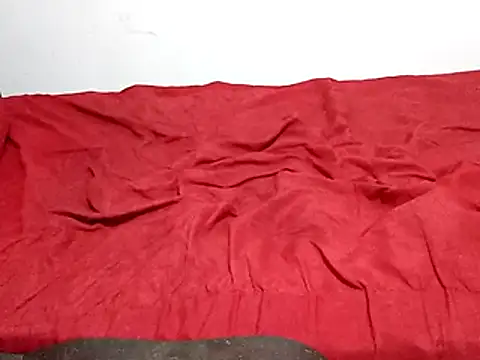 wel9238 online show from March 2026 01:51:01 AM