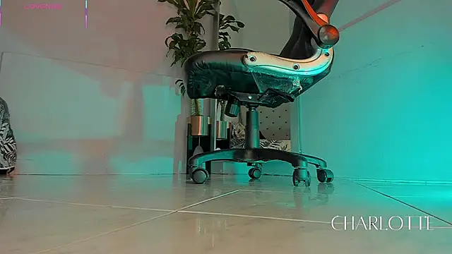 charlotte  grey online show from November 2025 08:41:02 PM