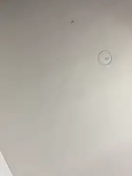 Snapshot of cheryl_cc chatting on April 2026 09:50:02 PM cheryl cc online show from April 2026 09:50:02 PM