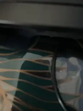 Snapshot of dimitriei chatting on November 2025 02:15:01 PM dimitriei online show from November 2025 02:15:01 PM