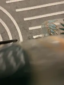 Snapshot of dimitriei chatting on November 2025 06:22:01 AM dimitriei online show from November 2025 06:22:01 AM