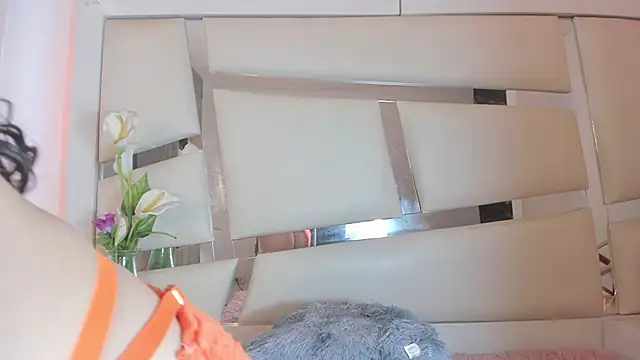 Snapshot of chrystal_js chatting on February 2025 04:03:02 PM chrystal js online show from February 2025 04:03:02 PM