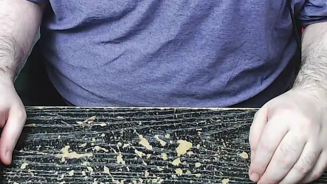 Dominant BEAR online show from November 2025 04:33:02 AM