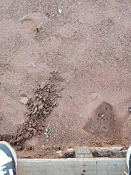 TornadoStorm35 online show from March 2026 01:56:01 PM