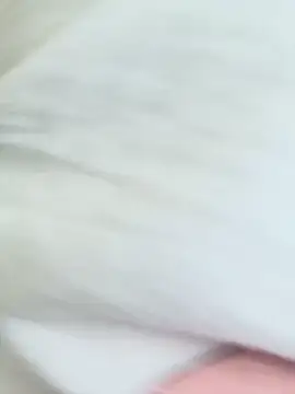 CarolaDrago online show from March 2025 12:24:01 PM