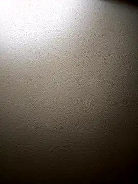 Snapshot of VixyGang chatting on November 2025 10:47:01 PM VixyGang online show from November 2025 10:47:01 PM