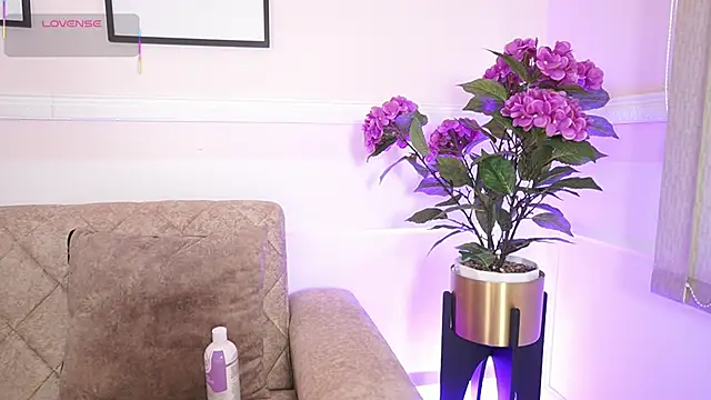 Anybuny online show from December 2025 12:11:02 PM