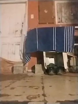 brownfeet online show from January 2025 04:59:01 AM