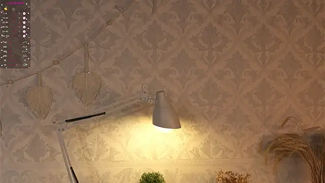 happywhores online show from January 2025 04:02:01 AM