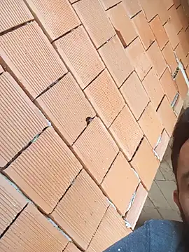 Snapshot of Kurtsikici@xh chatting on October 2025 12:39:01 PM Kurtsikicixh online show from October 2025 12:39:01 PM