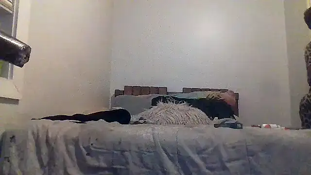 AllLeggs online show from March 2026 03:33:01 AM