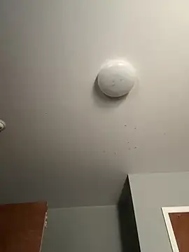 LunaWolfie143 online show from December 2025 03:53:01 PM