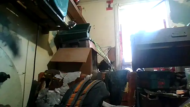 Snapshot of robeaulieu02 chatting on December 2025 07:53:02 PM robeaulieu02 online show from December 2025 07:53:02 PM