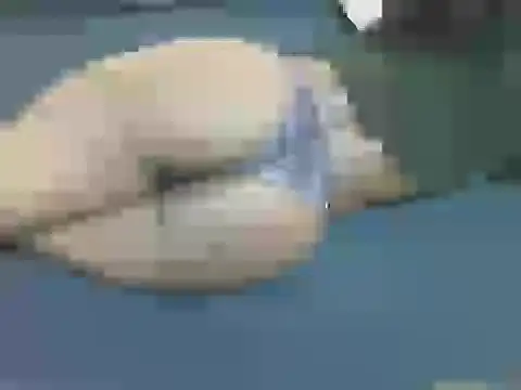 lella-0 online show from October 2025 09:38:01 PM