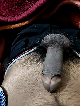 Snapshot of PAWARXX_0 chatting on January 2025 05:22:02 PM PAWARXX 0 online show from January 2025 05:22:02 PM