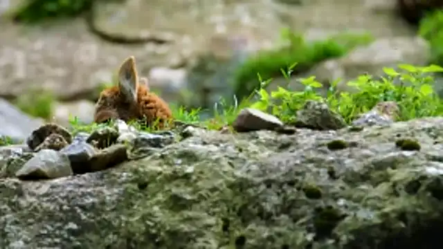 Snapshot of streamy_test13 chatting on April 2026 10:35:02 AM streamy test13 online show from April 2026 10:35:02 AM