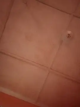 bebsexy online show from December 2025 12:54:01 PM