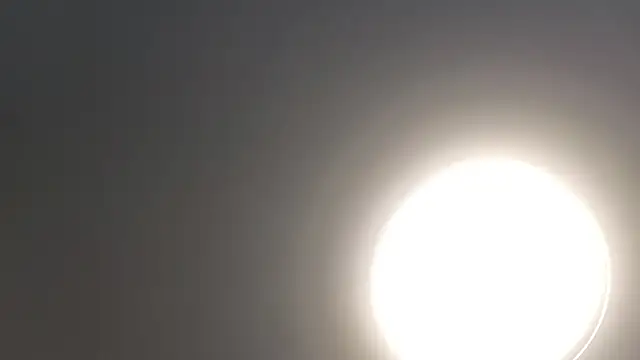 Snapshot of Strip-Lady chatting on February 2025 03:52:02 AM Strip-Lady online show from February 2025 03:52:02 AM