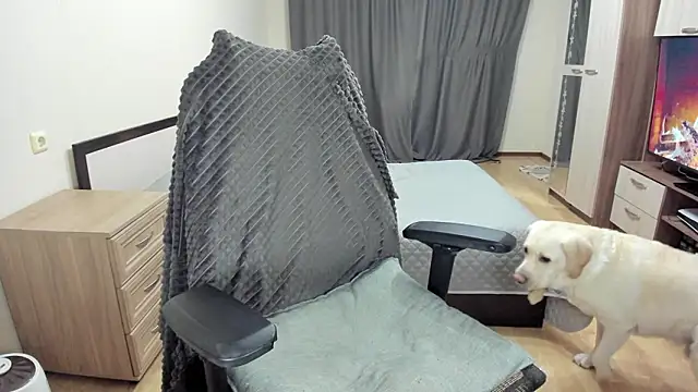 Liam sexy1 online show from February 2026 02:50:02 PM