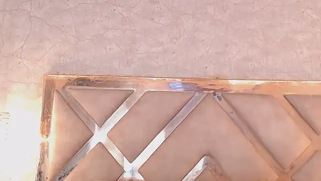 Snapshot of JoannaStanford chatting on March 2025 02:27:01 AM JoannaStanford online show from March 2025 02:27:01 AM