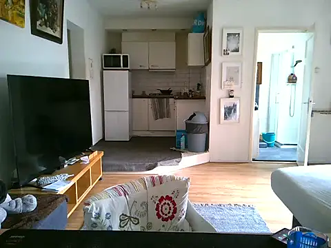 mihaimichael online show from April 2026 12:32:02 PM