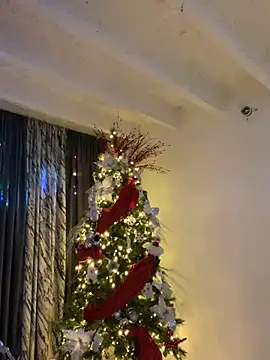 nicky peyton online show from December 2024 09:57:01 AM