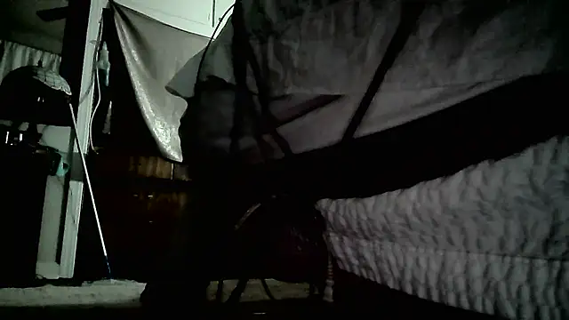 paiday online show from December 2024 04:43:02 PM