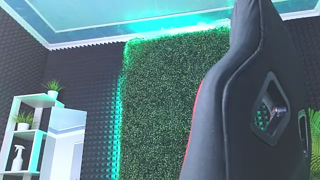 Snapshot of erikabrian chatting on December 2024 09:17:02 AM erikabrian online show from December 2024 09:17:02 AM