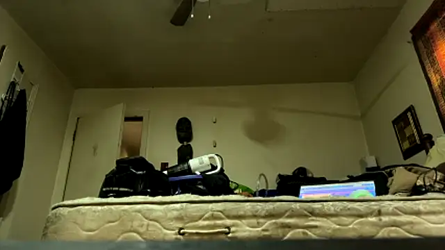 Snapshot of pipeload1275 chatting on April 2026 09:46:01 PM pipeload1275 online show from April 2026 09:46:01 PM