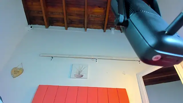 Snapshot of valen_rose0 chatting on November 2025 12:07:01 PM valen rose0 online show from November 2025 12:07:01 PM