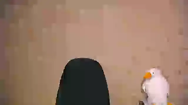  your fantasy girl online show from February 2025 01:00:02 PM