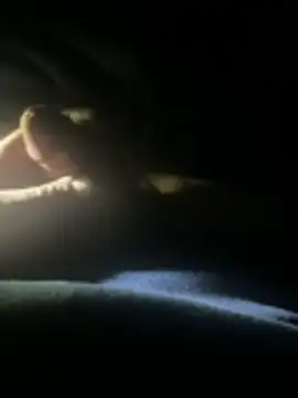 Snapshot of joeycbigcock chatting on April 2026 02:25:02 AM joeycbigcock online show from April 2026 02:25:02 AM