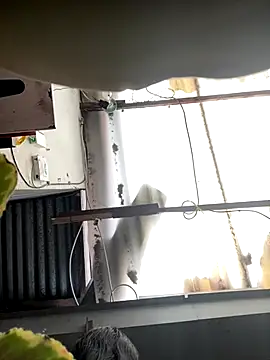 luna asss online show from October 2025 07:30:02 PM