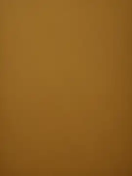 Snapshot of Chriso0007 chatting on March 2025 11:45:02 AM Chriso0007 online show from March 2025 11:45:02 AM