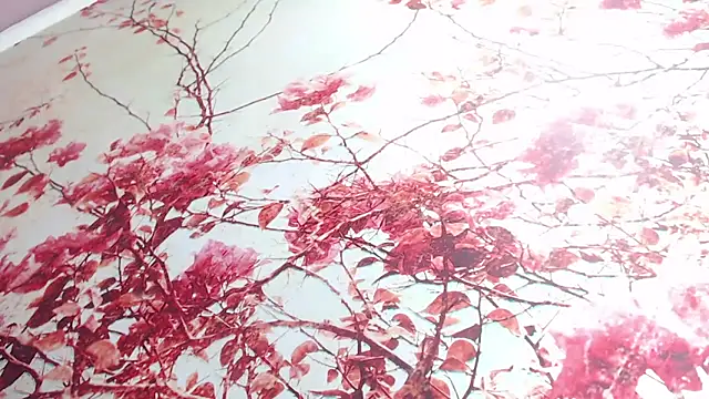 aleja mistress  online show from December 2024 11:30:01 PM