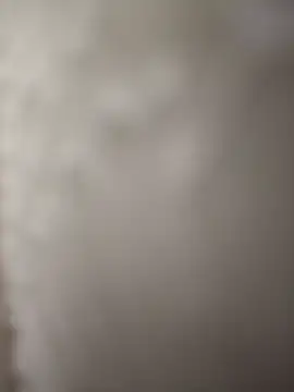 indianbull3684 online show from December 2024 08:07:02 PM